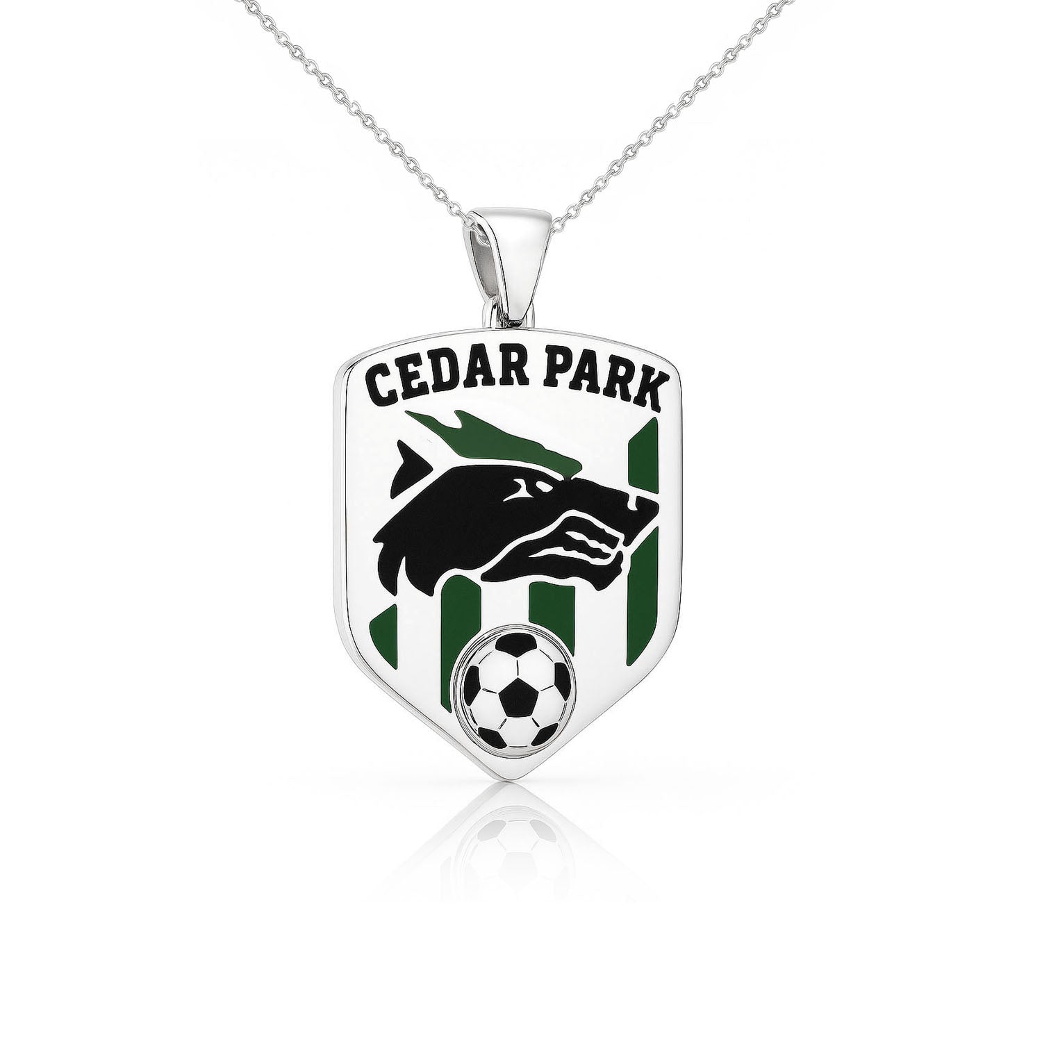 Cedar Park High School